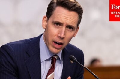 Josh Hawley Rages Against Fraud In Spending Of Taxpayer Dollars - YouTube