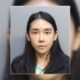 Woman linked to Chinese crime organization arrested in South Florida Tesla fraud: Cops